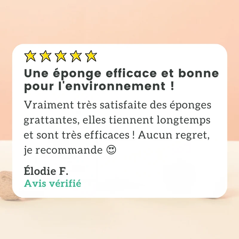 Éponge Grattante Végétale X2